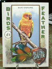 Sun Conure Baseball Cards 2021 Topps Allen & Ginter Birds of a Feather Prices