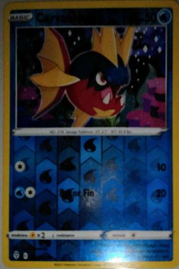 Carvanha Reverse Holo Ungraded Pokemon Evolving Skies