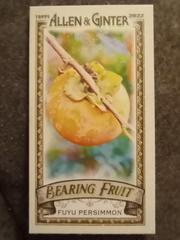 Fuyu Persimmon #BF-3 Baseball Cards 2022 Topps Allen & Ginter Mini Bearing Fruit Prices