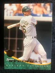 Terry Steinbach #178 Baseball Cards 1994 Leaf Prices