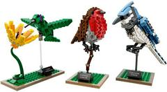 LEGO Set | Birds LEGO Ideas