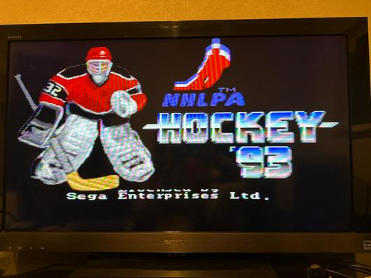 NHLPA Hockey '93 photo