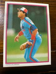 Andres Galarraga Baseball Cards 1988 Topps All Star Glossy Set of 60 Prices