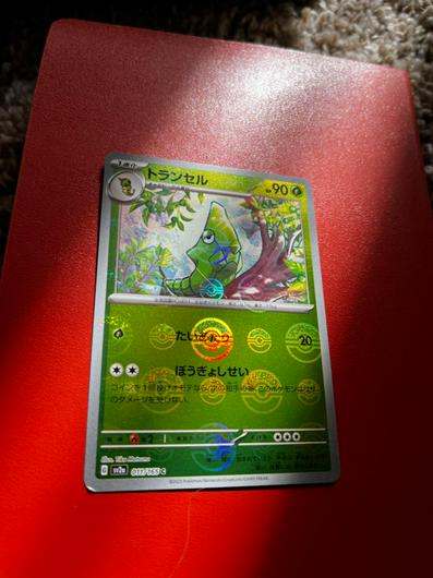 Metapod [Master Ball] #11 photo