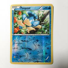 Panpour [Reverse Holo] #22 Pokemon Emerging Powers Prices