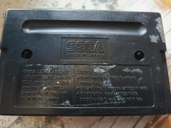 Cartridge (Reverse) | Wolfchild Sega Genesis