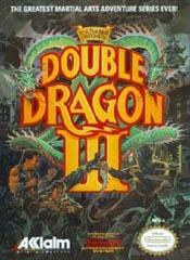 Double Dragon III Cover Art