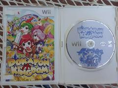 Manual And Game | Dokapon Kingdom Wii