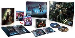 Stranger of Sword City [Limited Edition] Playstation Vita Prices