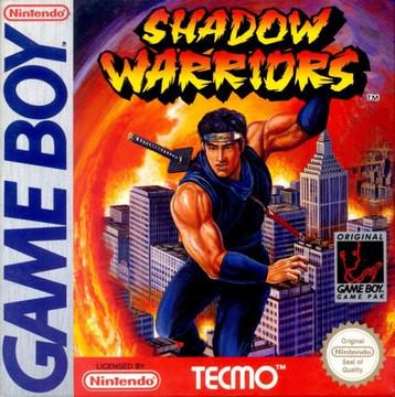 Shadow Warriors: Ninja Gaiden Cover Art