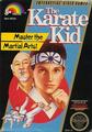 The Karate Kid | NES