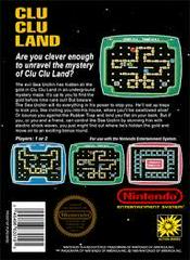 Clu Clu Land - Back | Clu Clu Land NES
