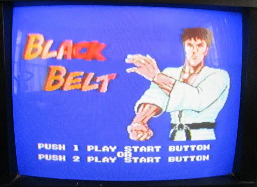 Black Belt photo