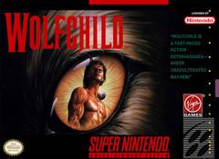 Wolfchild Cover Art
