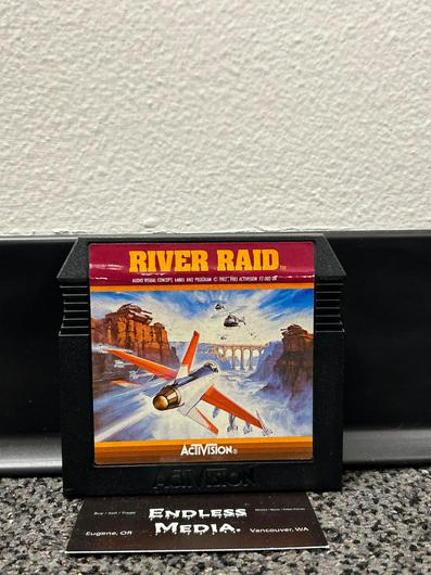 River Raid photo
