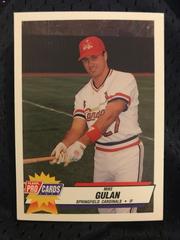Mike Gulan #1858 Baseball Cards 1993 Fleer ProCards Prices