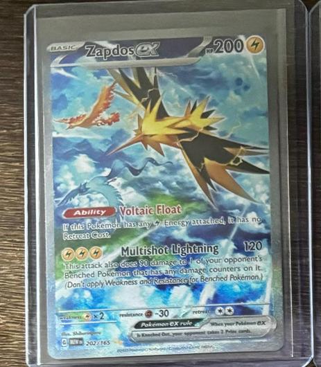 Zapdos ex #202 photo