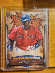 David Ortiz #GLG-21 Baseball Cards 2019 Topps Grapefruit League Greats Prices