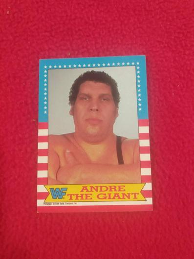 Andre the Giant #2 photo
