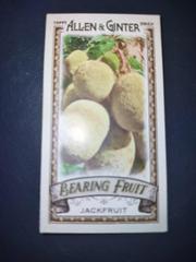 Jackfruit Baseball Cards 2022 Topps Allen & Ginter Mini Bearing Fruit Prices