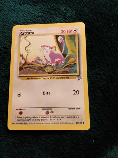 Rattata #89 photo