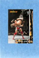 John Cena Wrestling Cards 2002 Fleer WWF Royal Rumble Prices