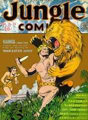 Jungle Comics #23 (1941) Comic Books Jungle Comics Prices