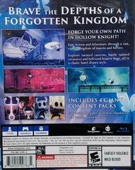 Back Cover | Hollow Knight Playstation 4
