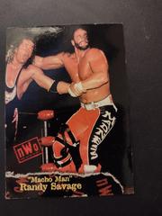 Macho Man Randy Savage #4 Wrestling Cards 1998 Topps WCW/nWo Prices
