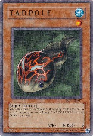 T.A.D.P.O.L.E. DR04-EN027 YuGiOh Dark Revelation Volume 4