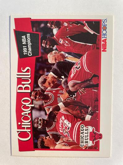 Chicago Bulls 1991 NBA Champions #277 photo