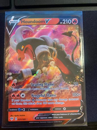 Houndoom V #21 photo