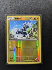 Blitzle [Reverse Holo] #41 Pokemon Black & White Prices