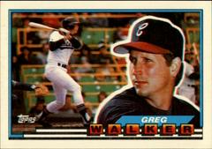 Greg Walker #4 Baseball Cards 1989 Topps Big Prices
