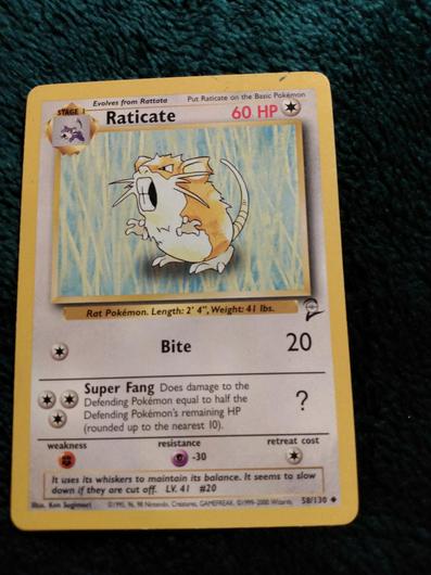 Raticate #58 photo