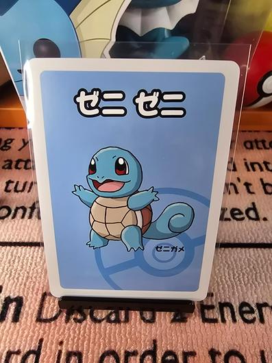 Squirtle photo