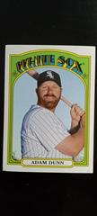 Adam Dunn #35 Baseball Cards 2013 Topps Prices