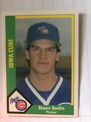 Shawn Boskie #1 Baseball Cards 1990 CMC Iowa Cubs Prices