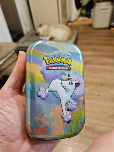 Sealed Mini Tin Display Box photo