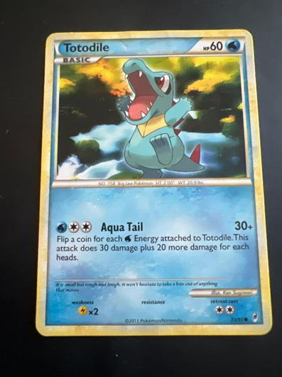 Totodile #74 photo