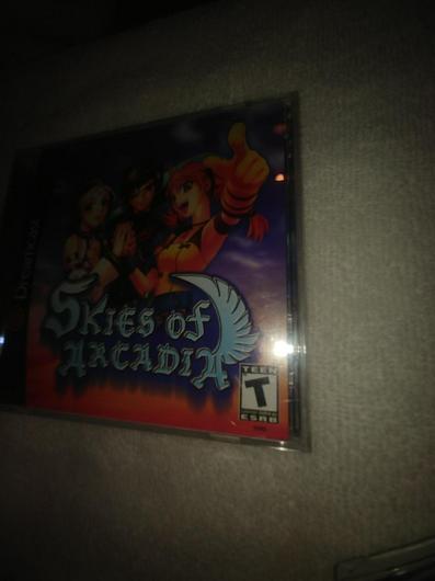 Skies of Arcadia photo