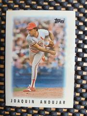 Joaquin Andujar #58 Baseball Cards 1986 Topps Mini League Leaders Prices