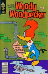 Walter Lantz Woody Woodpecker #177 (1979) Comic Books Walter Lantz Woody Woodpecker Prices