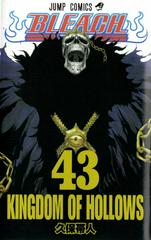 Bleach Vol. 43 [Paperback] (2010) Comic Books Bleach Prices