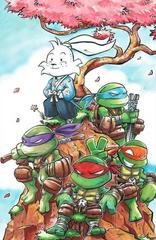 Teenage Mutant Ninja Turtles / Usagi Yojimbo: WhereWhen [Medina] #5 (2023) Comic Books Teenage Mutant Ninja Turtles / Usagi Yojimbo: WhereWhen Prices