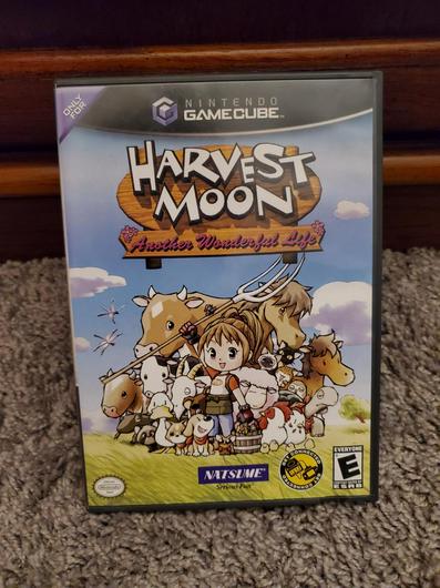 Harvest Moon Another Wonderful Life photo