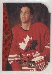 Brad Mehalko Hockey Cards 1994 SP Prices