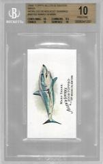 Mako Shark Baseball Cards 2008 Topps Allen & Ginter World's Deadliest Sharks Mini Prices