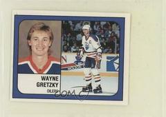 Wayne Gretzky #58 Hockey Cards 1988 Panini Stickers Prices