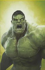 Hulk [Barends Virgin] Comic Books Hulk Prices